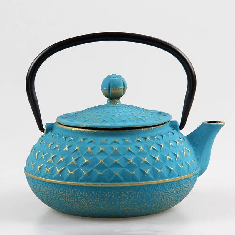 Théière Japonaise en Fonte avec des Piques 600ml