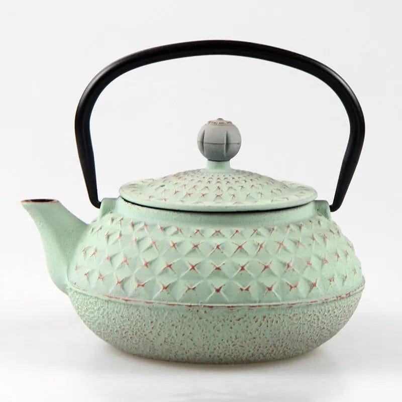 Théière Japonaise en Fonte avec des Piques 600ml