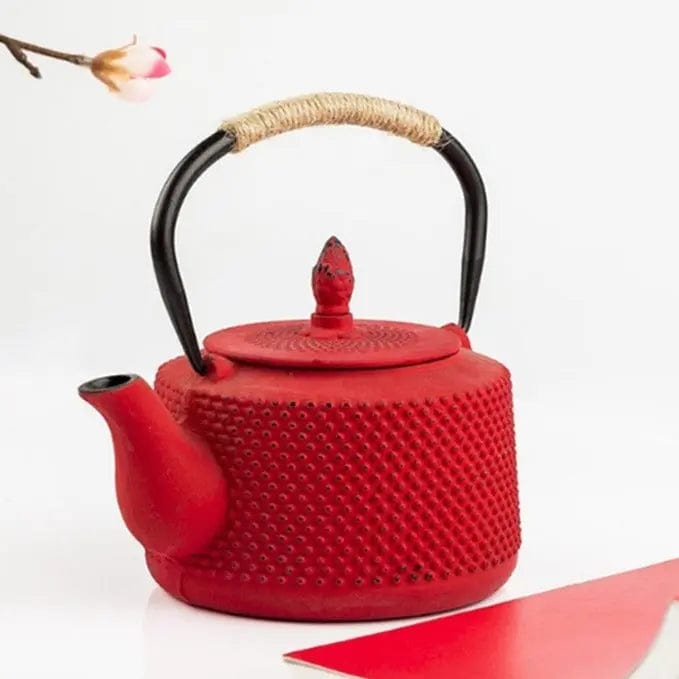 Théière Japonaise en Fonte Coloré 850ML