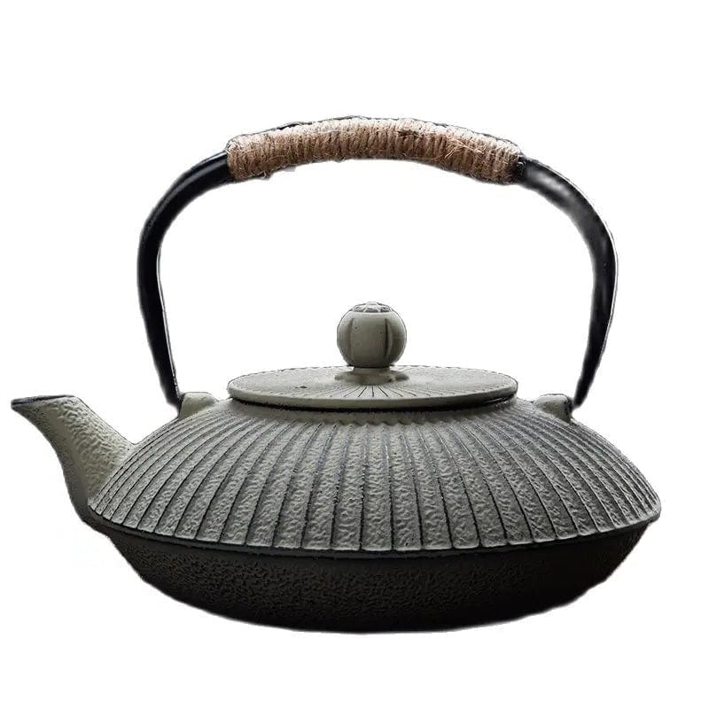 Théière Japonaise en Fonte Plate 800ml