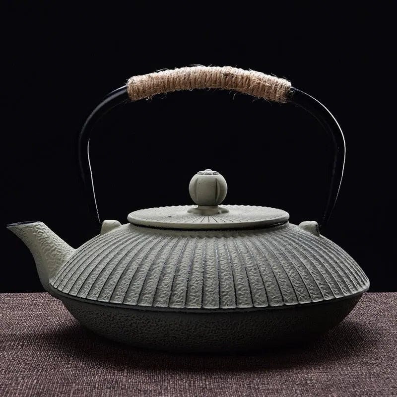 Théière Japonaise en Fonte Plate 800ml